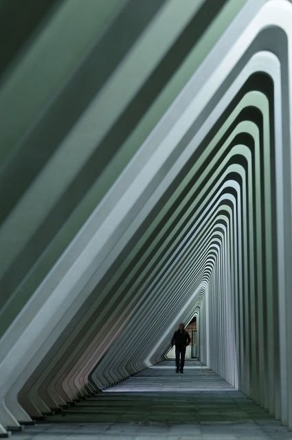 Sinfonías para el Enfoque: El Cerebro y el Ritmo